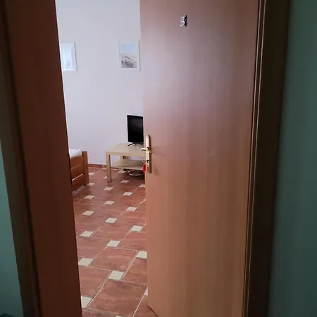 Domino